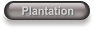 Plantation